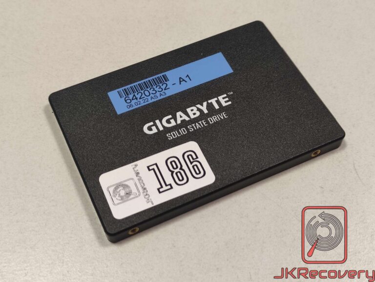 Gigabyte GP-GSTFS31256GTND